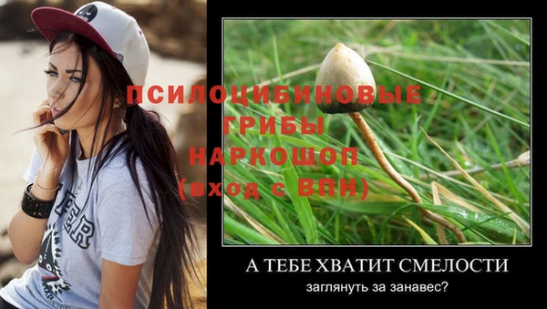 гидропоника Балабаново