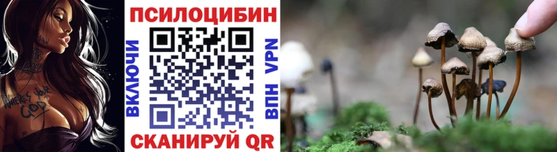 ОМГ ОМГ зеркало  Макаров  Галлюциногенные грибы прущие грибы 